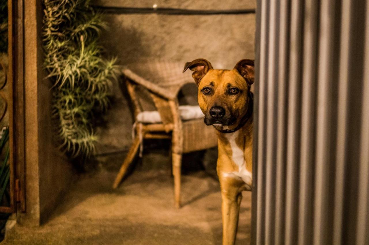 Ferienwohnung Finca Monica La Matanza De Acentejo Εξωτερικό φωτογραφία