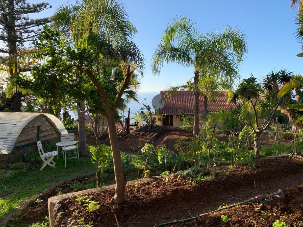 Ferienwohnung Finca Monica La Matanza De Acentejo Εξωτερικό φωτογραφία