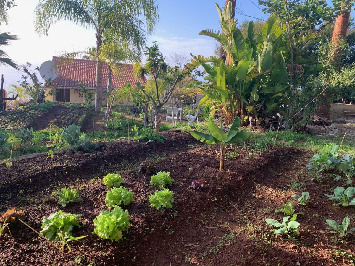 Ferienwohnung Finca Monica La Matanza De Acentejo Εξωτερικό φωτογραφία
